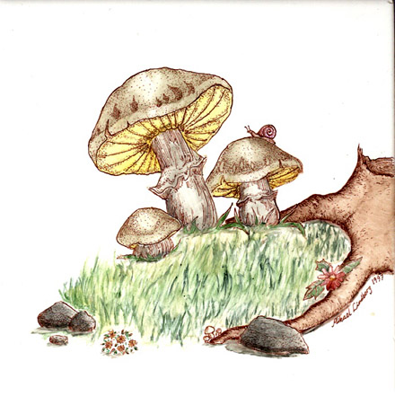 Muschrooms